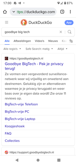 /e/OS browser result